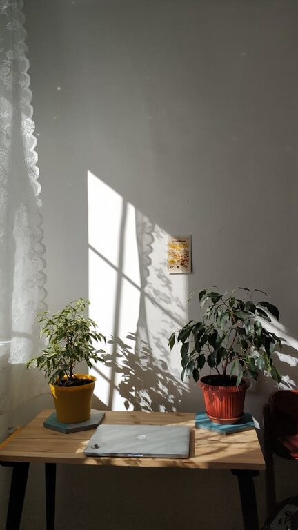 resized_120951
